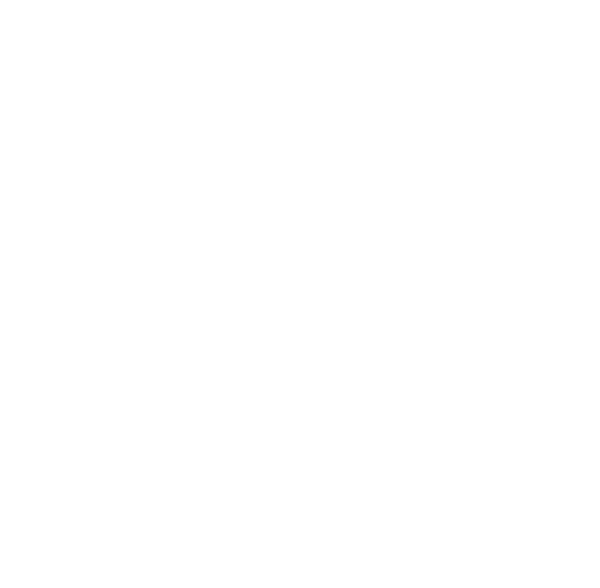 Logo SENA White